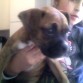 yo y mi perrita en mi casa